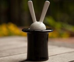 rabbit in a hat salt and pepper set