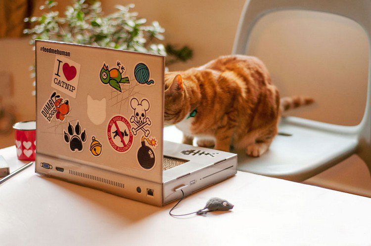 scratching post laptop cat
