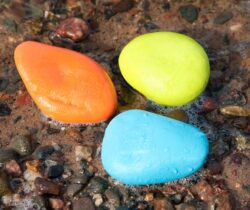 skipping stones dog toys