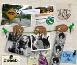 sloth clip picture hangers