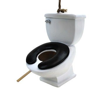 toilet birdhouse