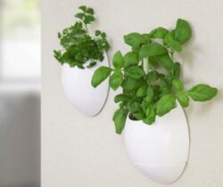 wall-mounted herb planter