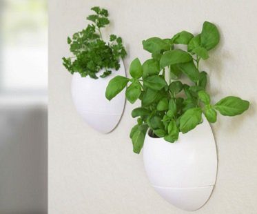 wall-mounted herb planter