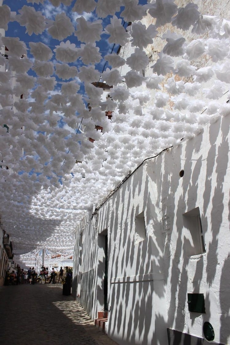 white building flowers