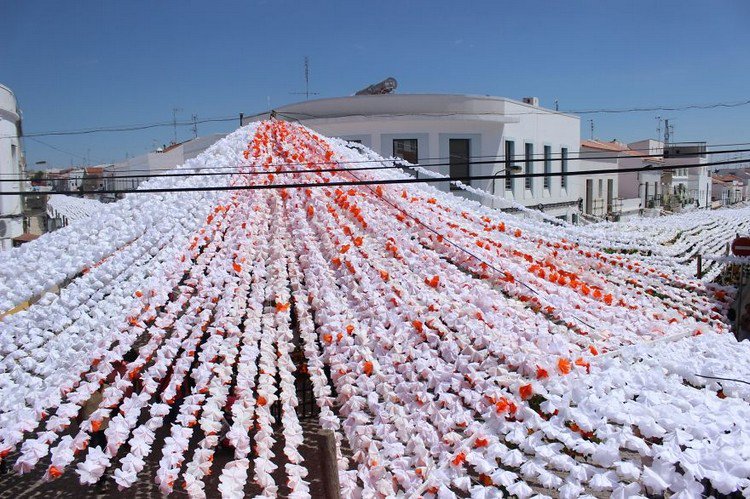 white flower canopy outdoors