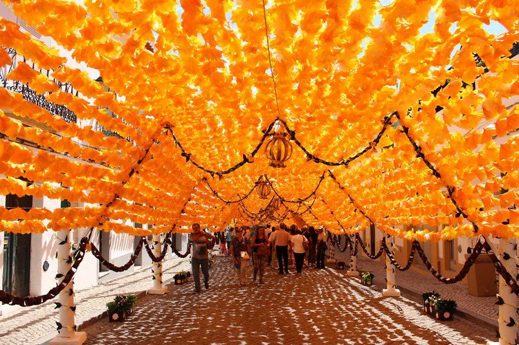 yellow flower canopy