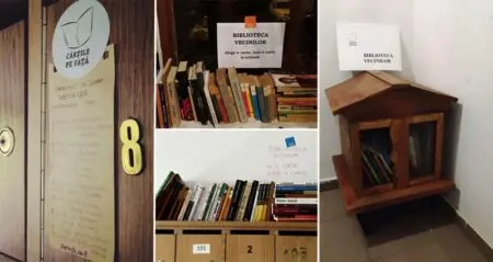 Man Creates Mini Library For Neighbours