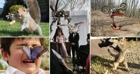 Perfectly Timed Picture