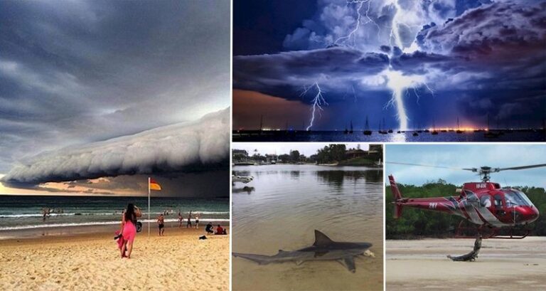 Photos That Will Make You Respect The Bravery Of Australian Residents