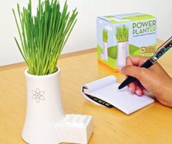 Power Plant Seed And Planter Kit