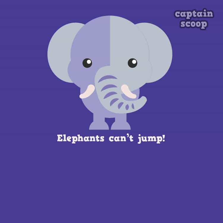 animals-elephants