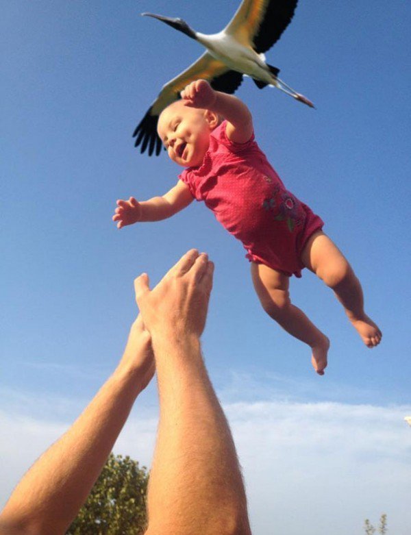 baby air bird