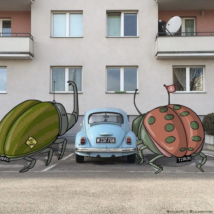 beetles