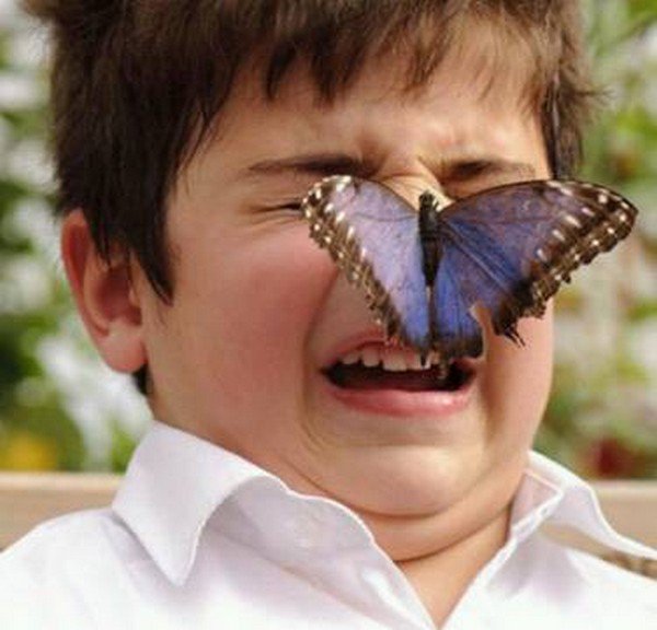 boy butterfly nose
