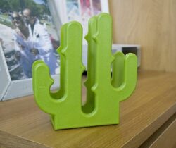 cactus letter holder