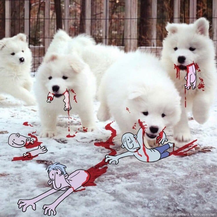 cute massacre