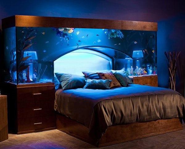 dream-home-decor-fish-tank-bed