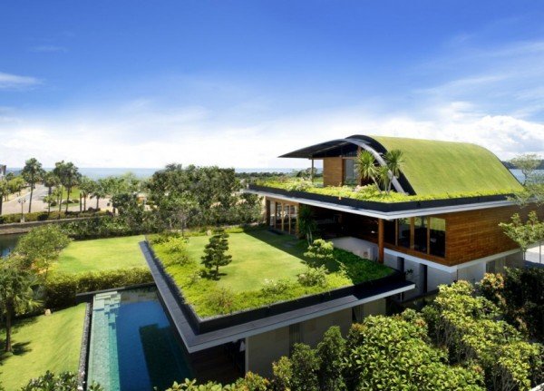 dream-home-decor-grass-roof