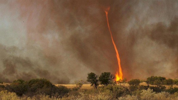 fire tornado