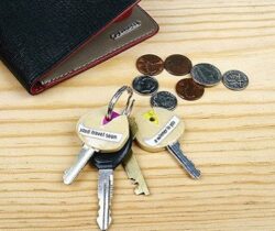 fortune cookie key covers