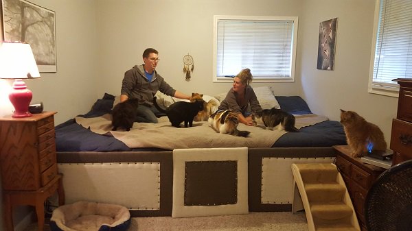 giant-bed-for-pets-sit