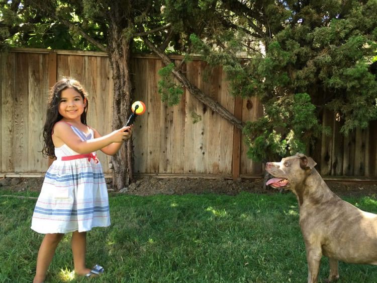 girl dog outdoor photo