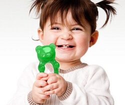 gummy bear teether
