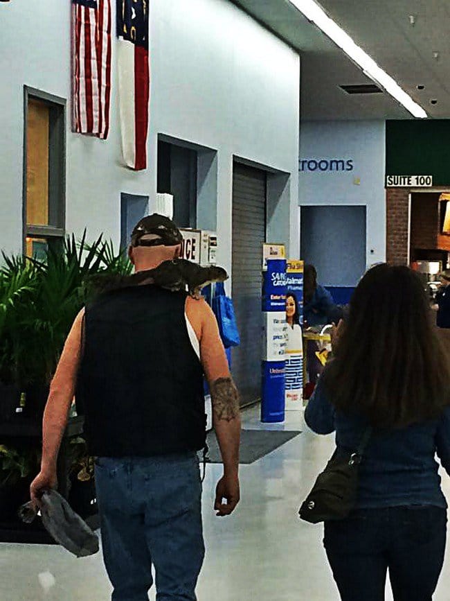 guy squirrel shoulder walmart