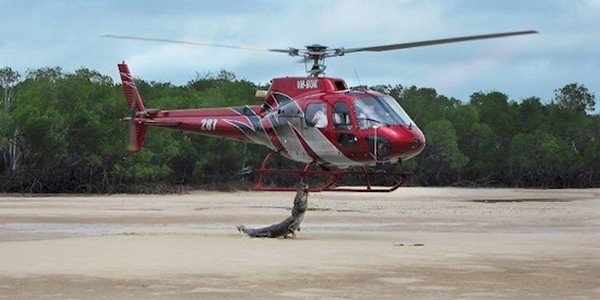 helicopter croc