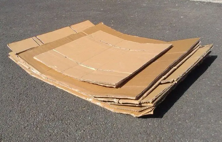 homeless bed cardboard