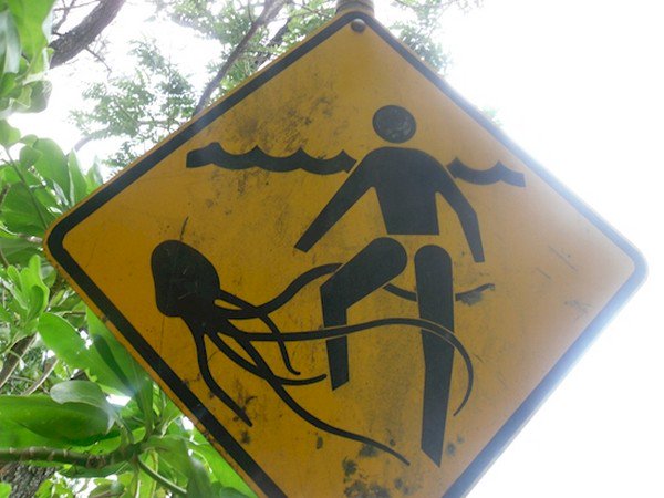 jellyfish man sign