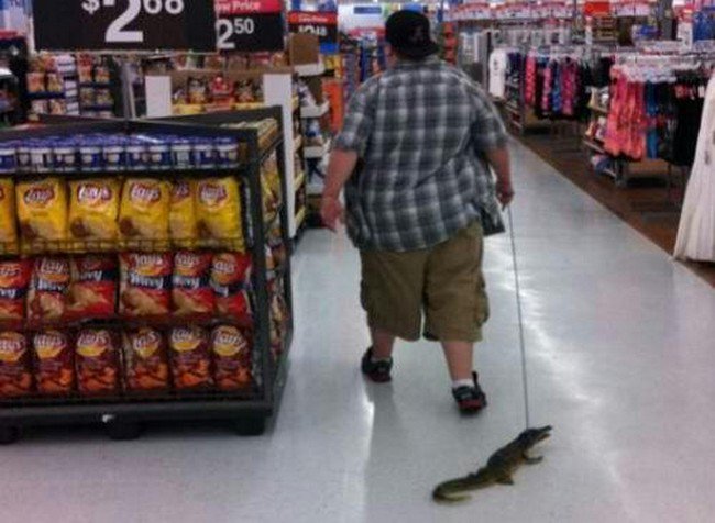 man with crocodile walmart