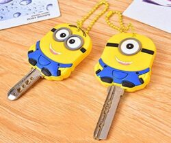 minion key covers