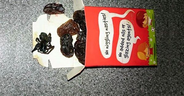 nope-raisins