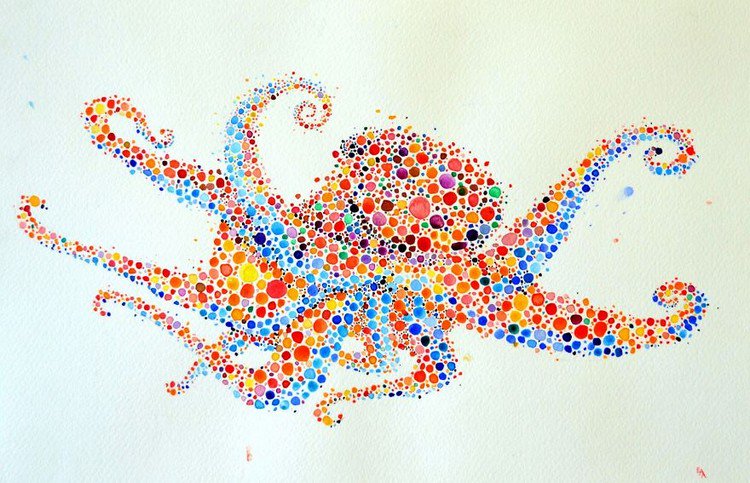 octopus