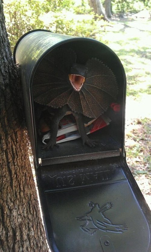 prank-your-kids-mailbox