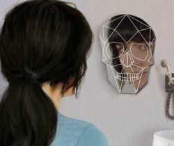 skull wall mirror