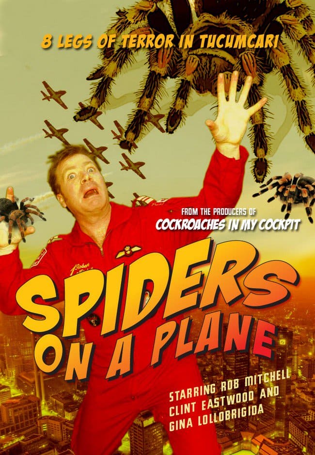 spiders on a plane