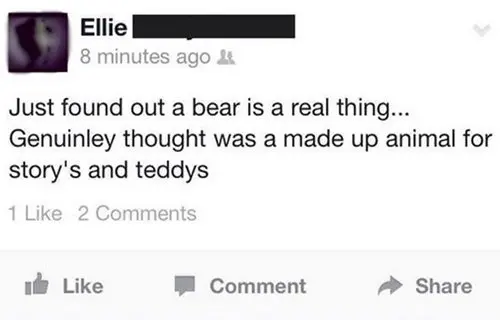 stupid-people-bear