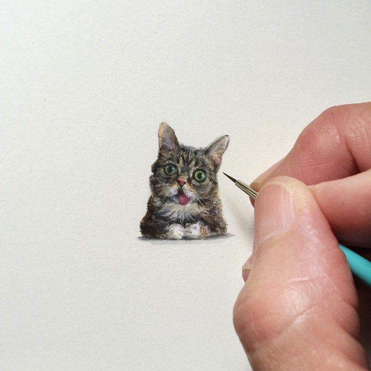 tiny-cat