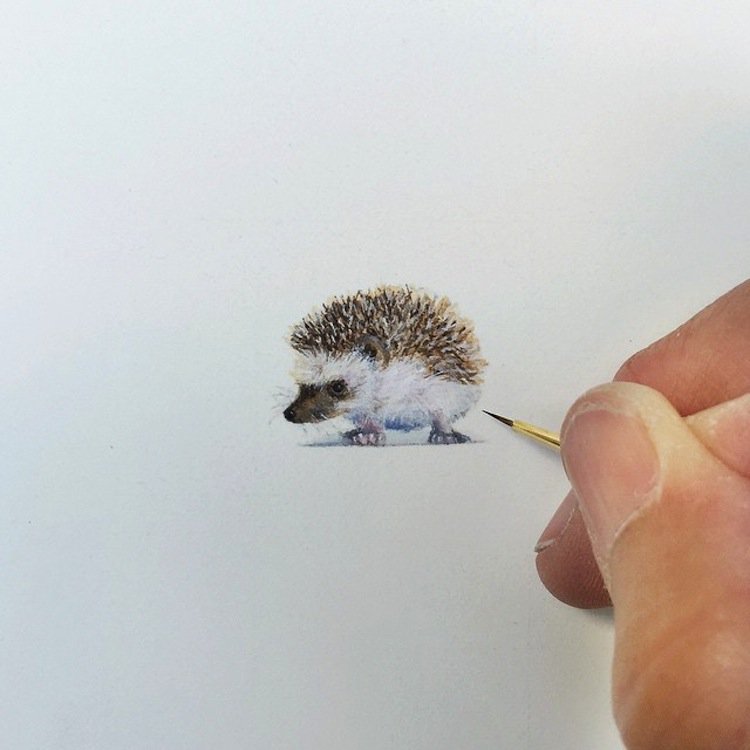 tiny-hedgehog