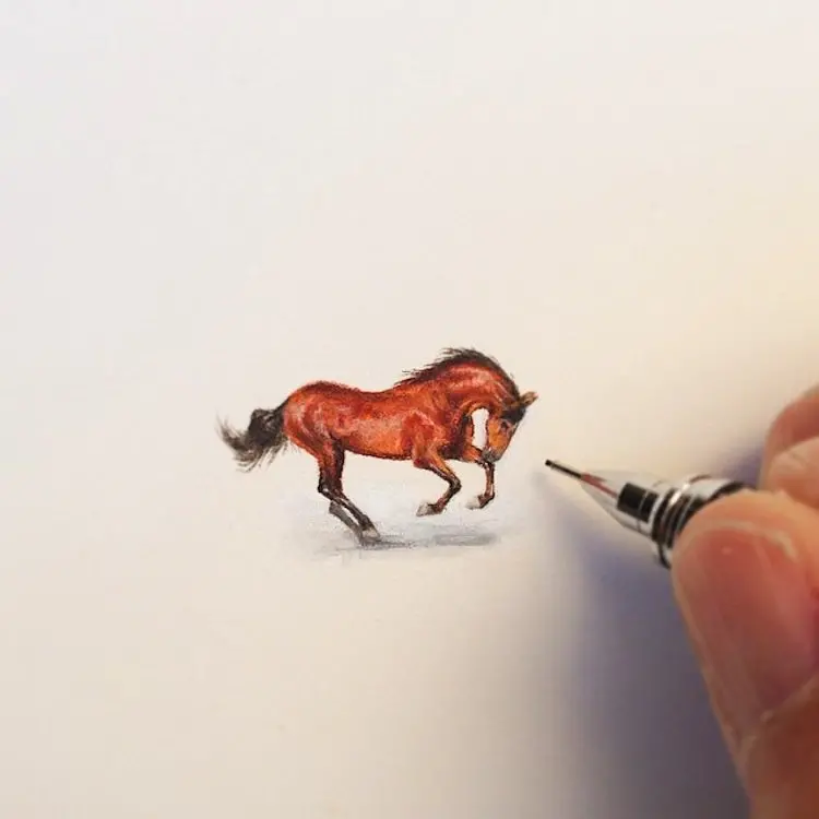 tiny-horse