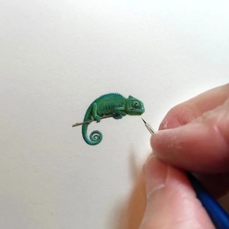 tiny-iguana