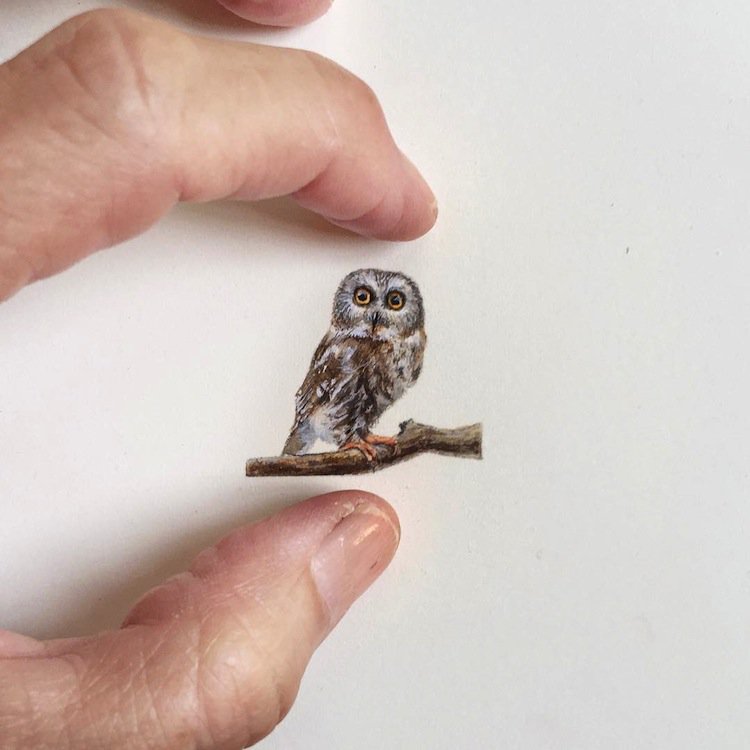 tiny-owl