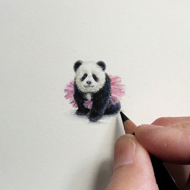 tiny-panda