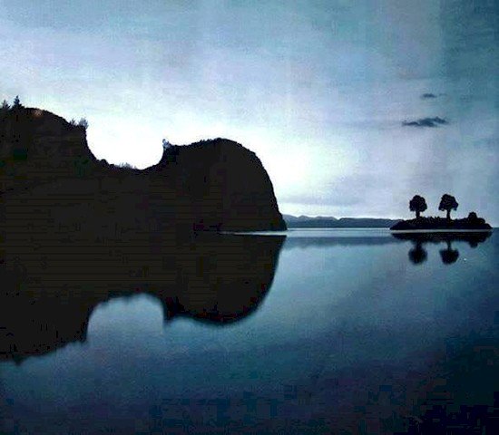 nature scene water reflection makes image look like violin 
