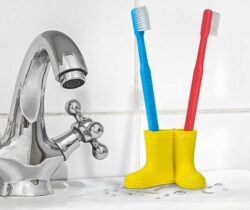 wellies toothbrush holder