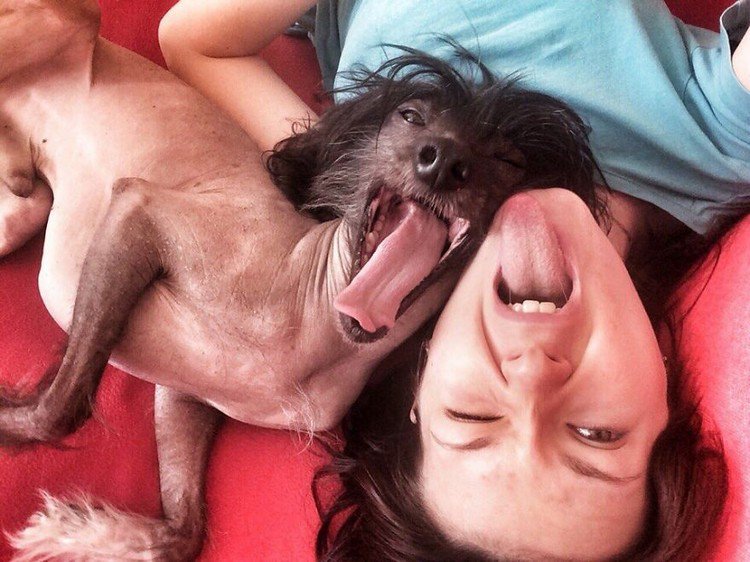 yawning dog woman