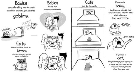 Differences Between Having A Baby And A Cat