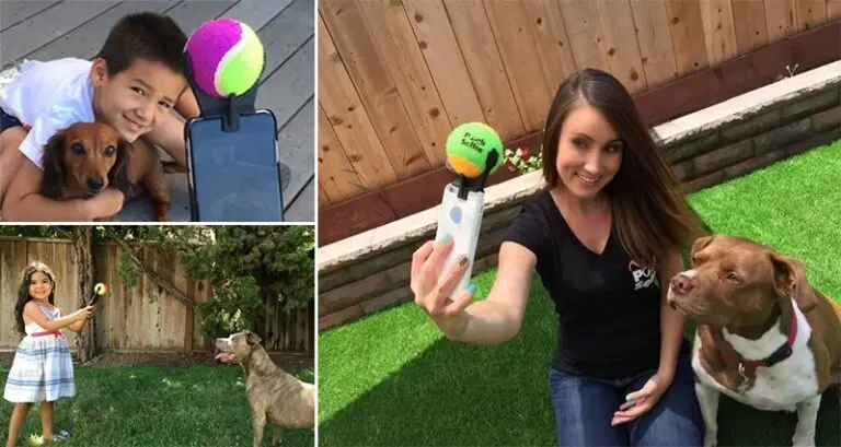 Pooch Selfie Smartphone Attatchment